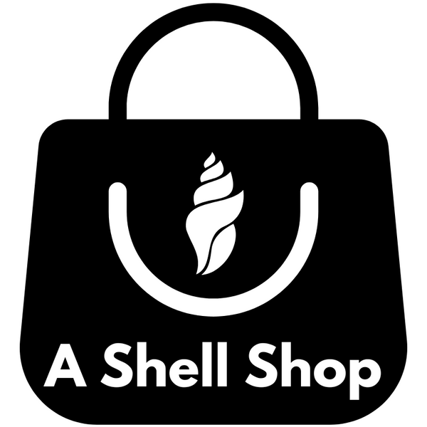 A Shell Shop